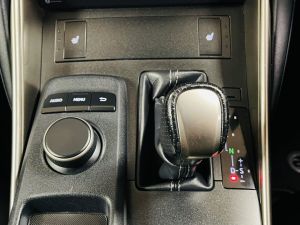 LEXUS IS 300H F SPORT - 7337 - 24
