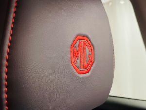 MG MG ZS EXCLUSIVE T-GDI - 6995 - 21